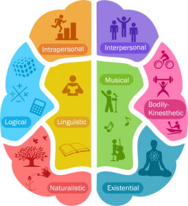 howard gardner multiple intelligences diagram