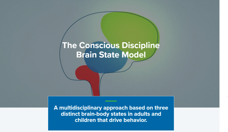 BRAIN STATE MODELS